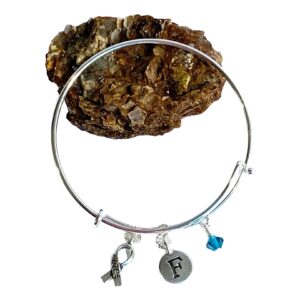 Personalized Cancer Awareness Bangle Bracelet – Custom Crystal Color & Initial – Survivor or In Memory Gift